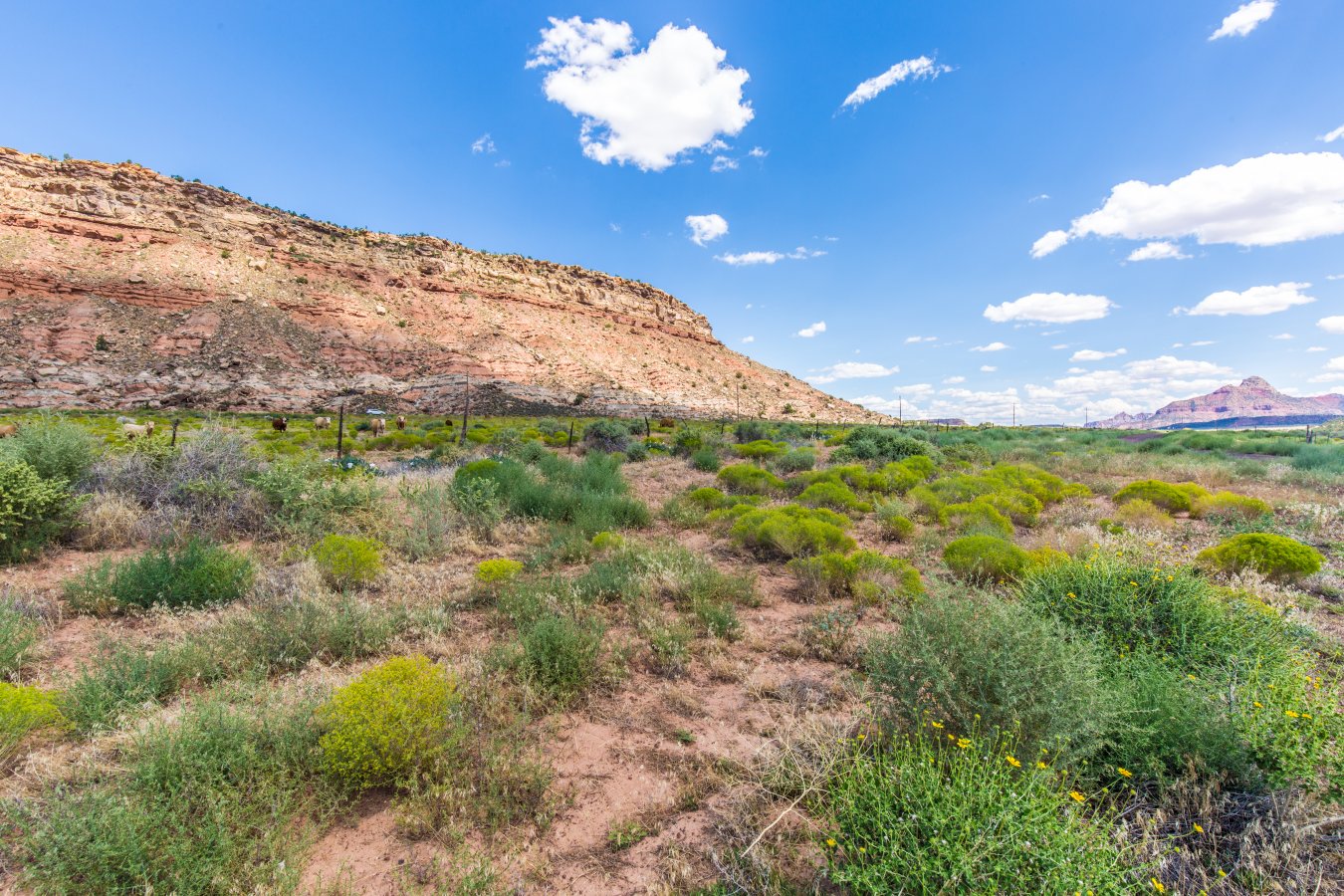 Hwy 59 Apple Valley, UT 84737 ERA Brokers Southern Utah